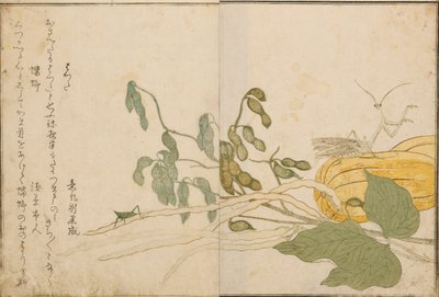 Grasshopper and praying mantis, 1788 by Kitagawa Utamaro